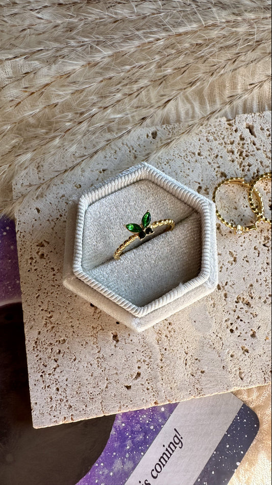 Anelli Butterfly Effect