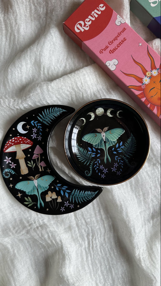 Brucia Incenso Forest