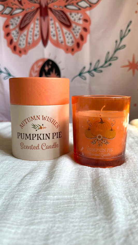 Candela Pumpkin Pie