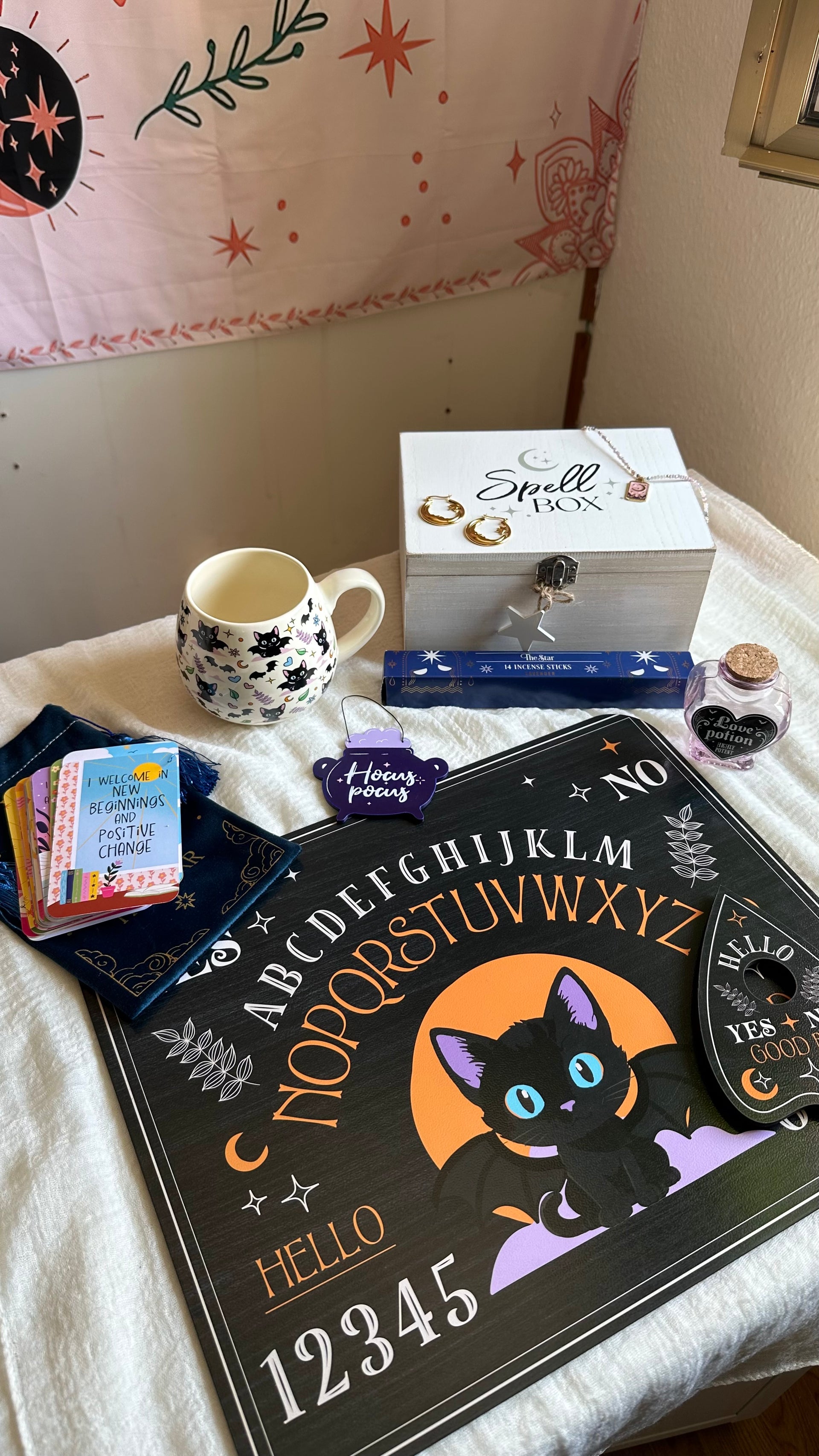 Tazza Gatto Pipistrellino