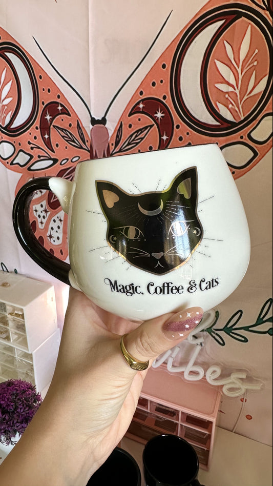 Tazza Magic, Coffee and Cats